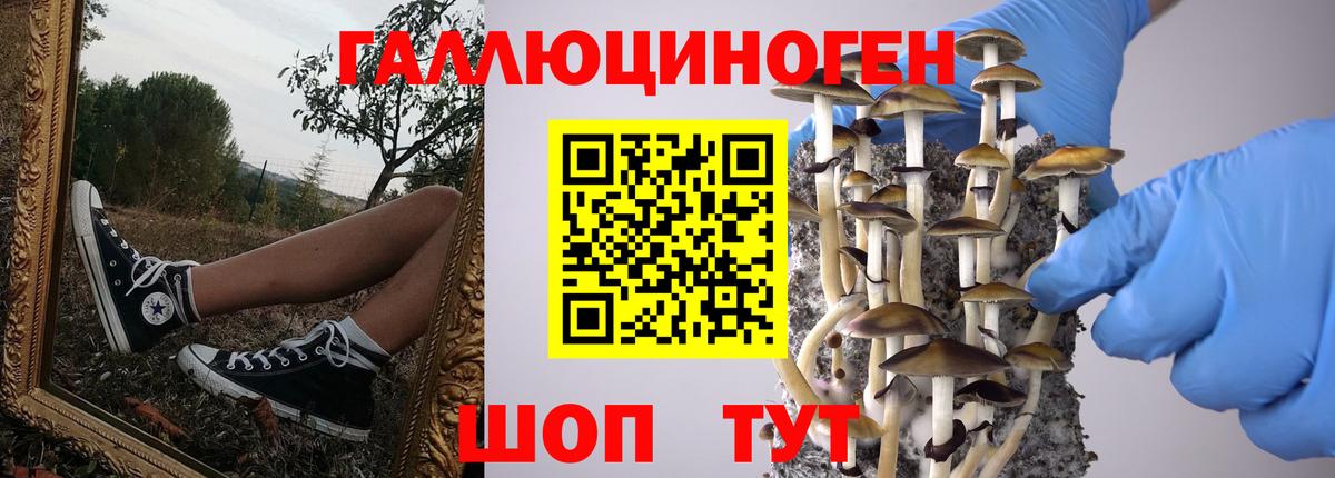 Галлюциногенные грибы Psilocybe  Вход с VPN  Южно-Сахалинск 